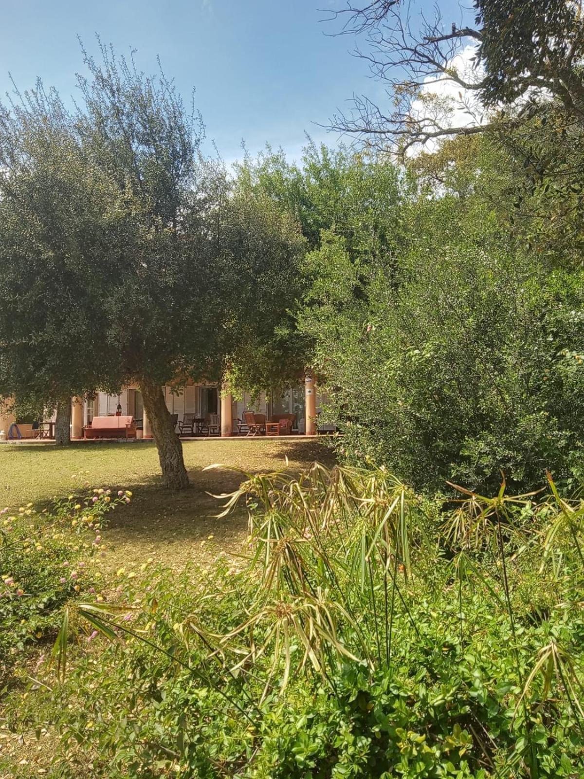 Sotogrande. Estancia Privada En Plena Naturaleza Luaran gambar