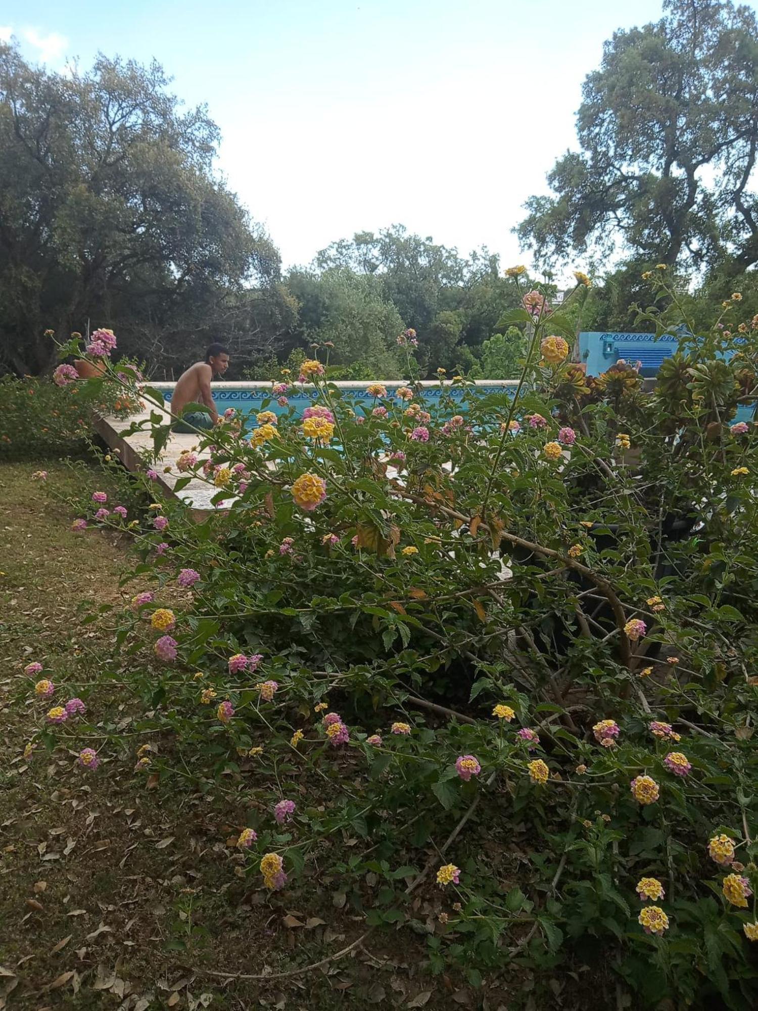 Sotogrande. Estancia Privada En Plena Naturaleza Luaran gambar